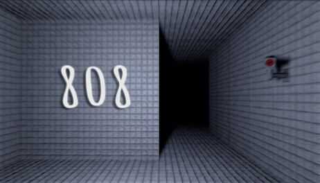 Купить 808