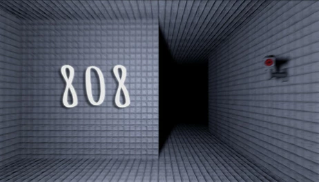 Купить 808