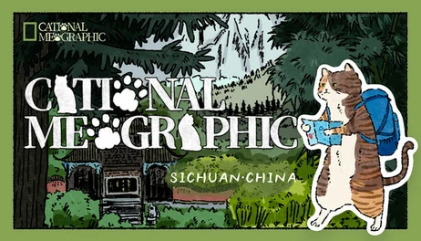 Купить Cational Meographic