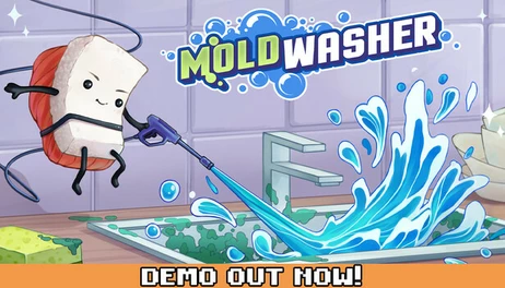 Купить Moldwasher