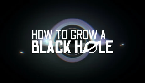 Купить How To Grow a Black Hole