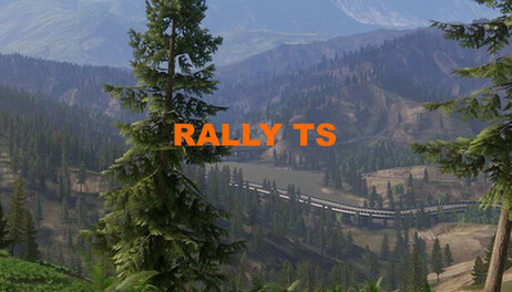 Купить Rally TS