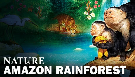Купить Nature Amazon Rainforest Module