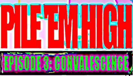 Купить Pile 'Em HIgh 3: Convalescence