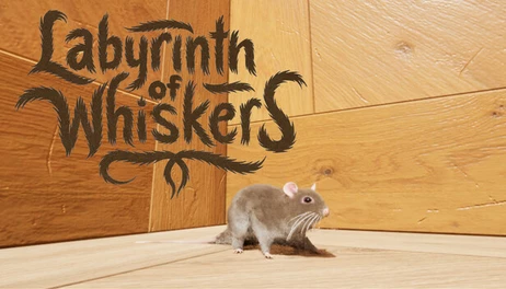 Купить Labyrinth of Whiskers