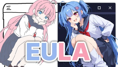 Купить EULA