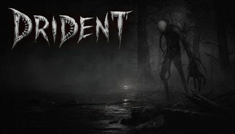 Купить Drident