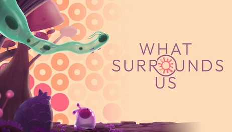 Купить What Surrounds Us