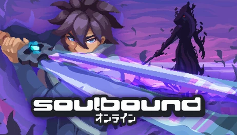 Купить Soulbound