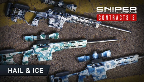 Купить Sniper Ghost Warrior Contracts 2 - Hail & Ice Skin Pack
