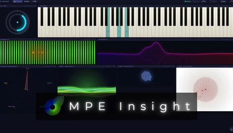 Купить MPE Insight