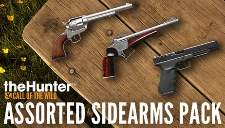 Купить theHunter: Call of the Wild - Assorted Sidearms Pack