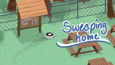 Купить Sweeping Home