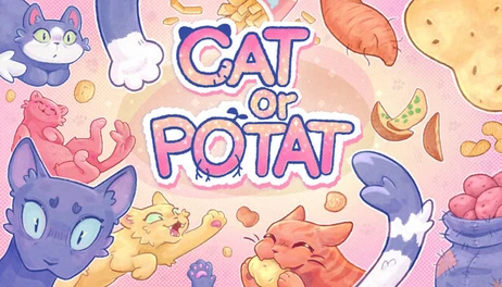 Купить Cat or Potat