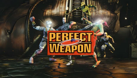 Купить Perfect Weapon