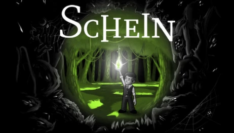 Купить Schein