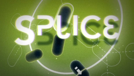 Купить Splice