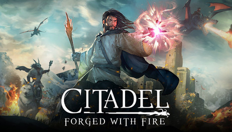 Купить Citadel: Forged with Fire