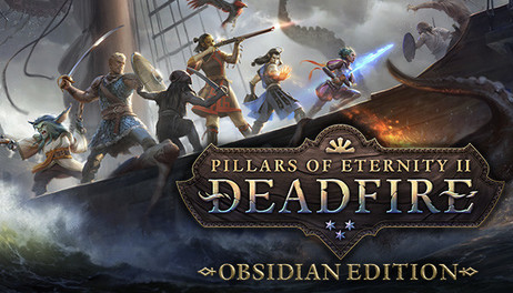 Купить Pillars of Eternity II: Deadfire - Obsidian Edition