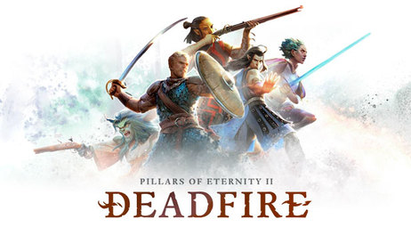 Купить Pillars of Eternity II: Deadfire