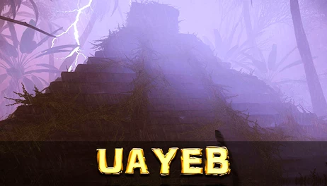 Купить UAYEB