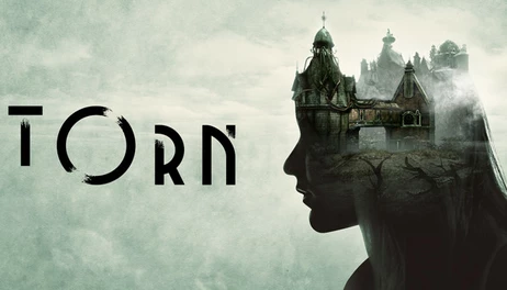 Купить Torn