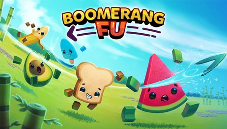 Купить Boomerang Fu