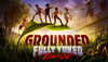 Купить Grounded