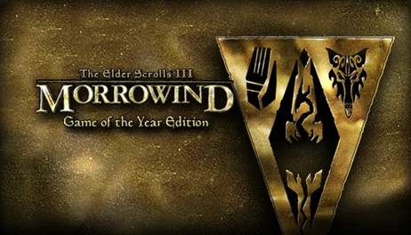 Купить The Elder Scrolls III: Morrowind Game of the Year Edition