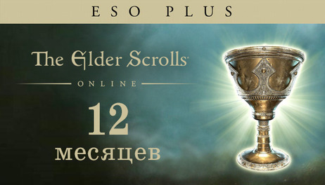 Купить The Elder Scrolls Online: Plus 12 Month Membership