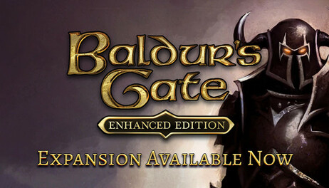 Купить Baldur's Gate: Enhanced Edition