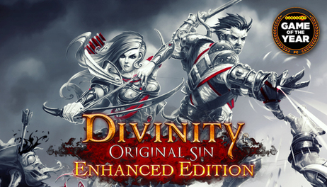 Купить Divinity: Original Sin - Enhanced Edition
