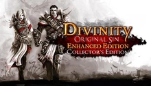 Divinity: Original Sin Enhanced Edition - Collector's Edition