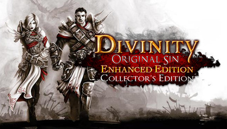 Купить Divinity: Original Sin Enhanced Edition - Collector's Edition