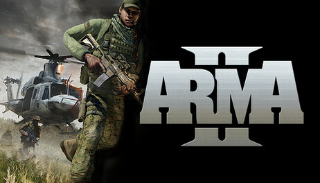 Купить Arma 2