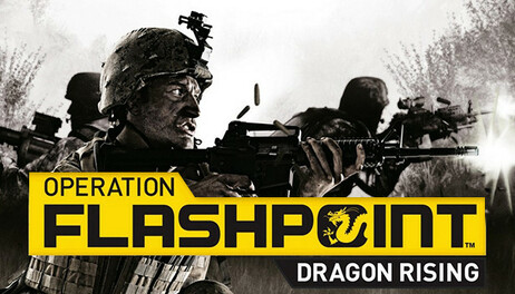 Купить Operation Flashpoint: Dragon Rising