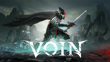Купить VOIN