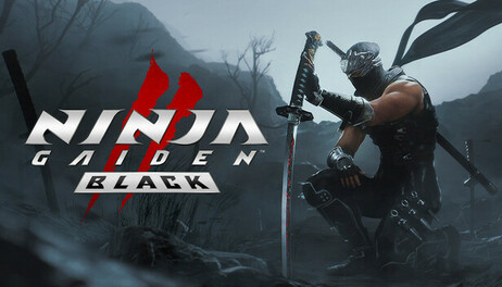 Купить NINJA GAIDEN 2 Black
