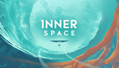 Купить InnerSpace