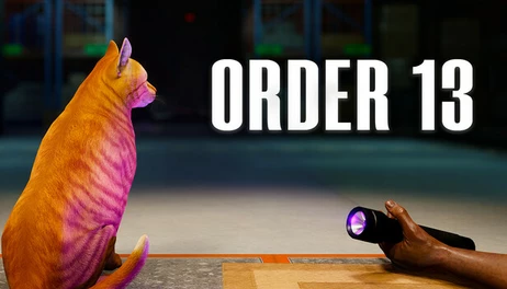 Купить ORDER 13