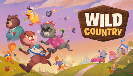 Купить Wild Country