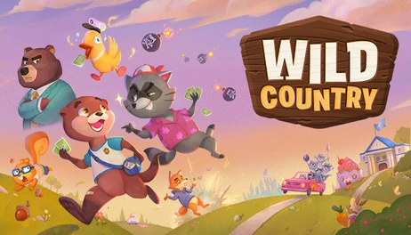 Купить Wild Country