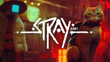Купить Stray